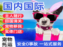 厦门高崎航空空运国际宠物托运 【国